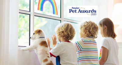 Petplan announces 'first-ever' Pet Awards